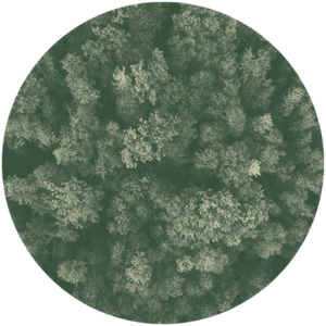 Remote Sensing for National Forest Inventories