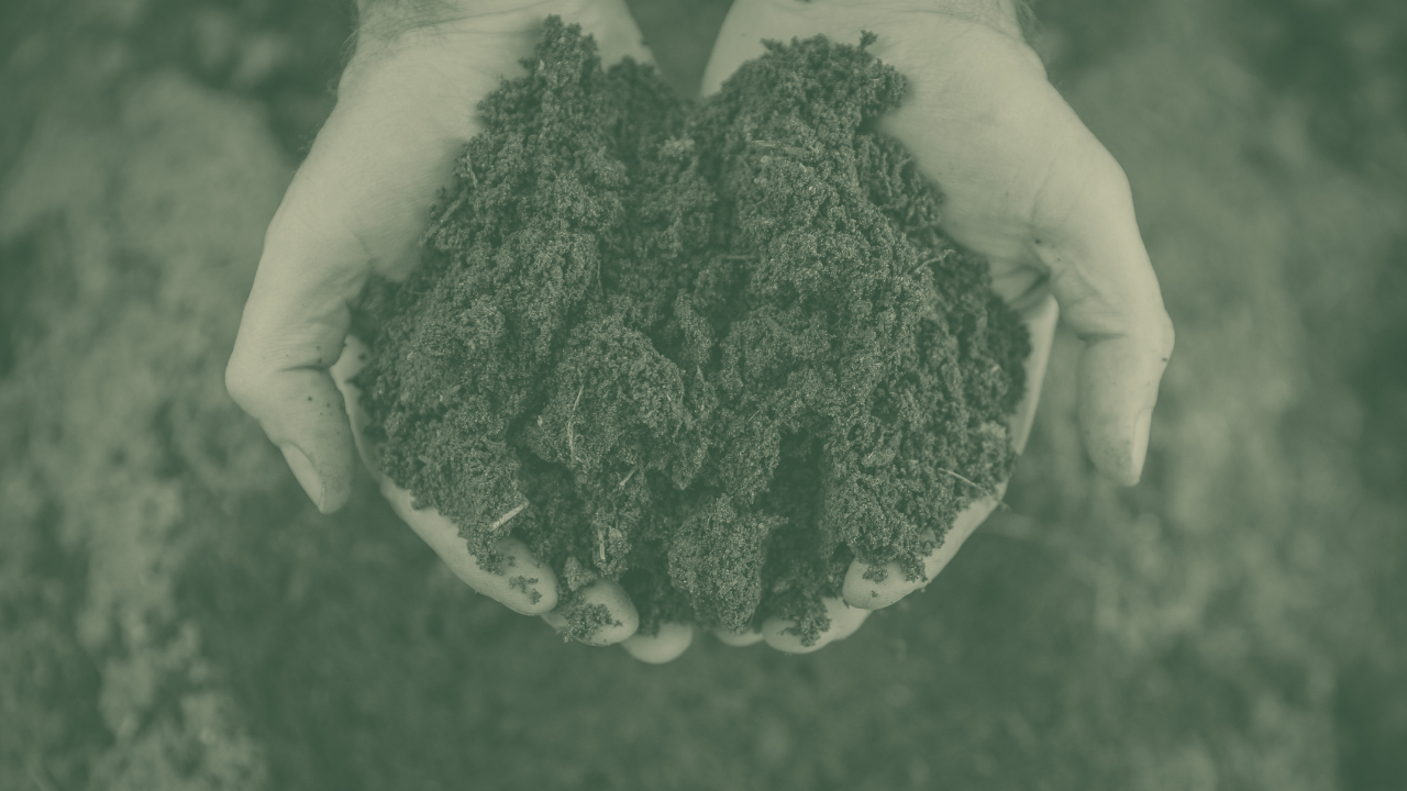 The business case for circular soils: what a new cost-benefit analysis tells us